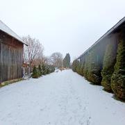 IMG20250112151956